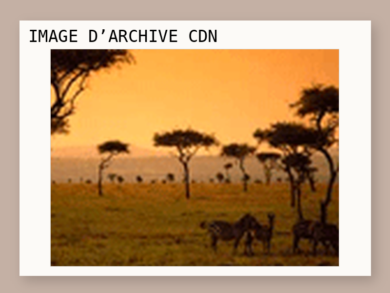 Une semaine au Kenya pour 2 personnes d'une valeur de 2150 € gagné avec les supermarchés Match.