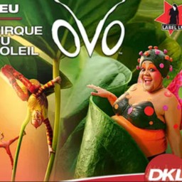 Jouez pour gagner : des places pour le spectacle "OVO" du Cirque du Soleil le jeudi 5 novembre à 20h au Zénith de Strasbourg